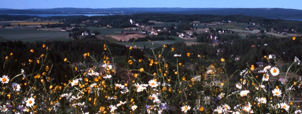 cropped-rammelkleva-beskuren